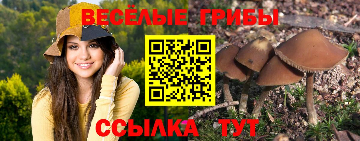 Псилоцибиновые грибы Magic Shrooms  Вход с VPN  Псилоцибиновые грибы мухоморы  купить наркоту  Тверь 