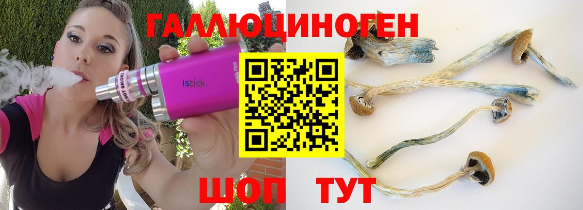 Галлюциногенные грибы ЛСД Тверь